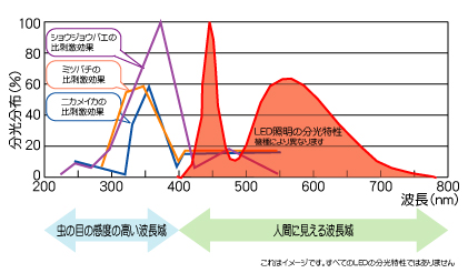 LED蛍光灯分光特性